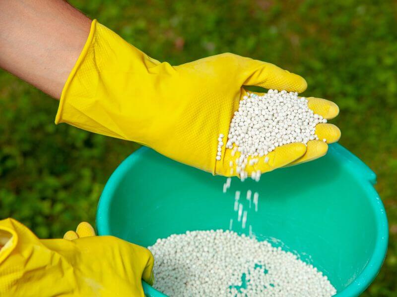 nurmikon lannoittaminen