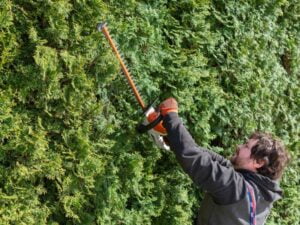 pensasaidan leikkaus