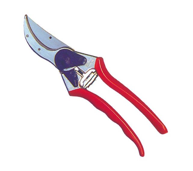 Felco 2 oksasakset